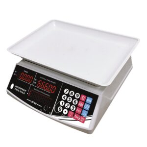 30Kg Waterproof Scale for commercial use,